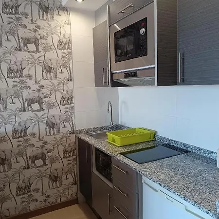 Appartamento ático31 *